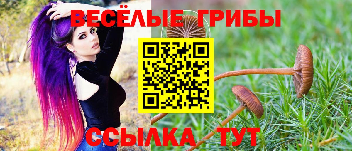 Белореченск  хочу   Вход с VPN  Галлюциногенные грибы GOLDEN TEACHER 